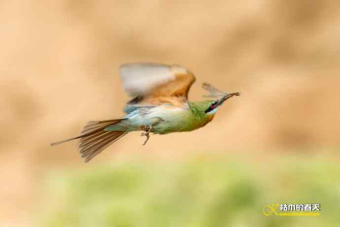 失而复得的鈥溊鹾矸浠⑩ 失而复得的鈥溊鹾矸浠⑩