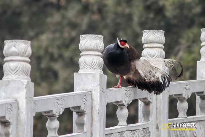 玄中古寺拍鈥満致恚Γ┾