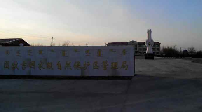 【新鸟】白额雁 wbr图牧吉湿地初探 【新鸟】白额雁 wbr图牧吉湿地初探