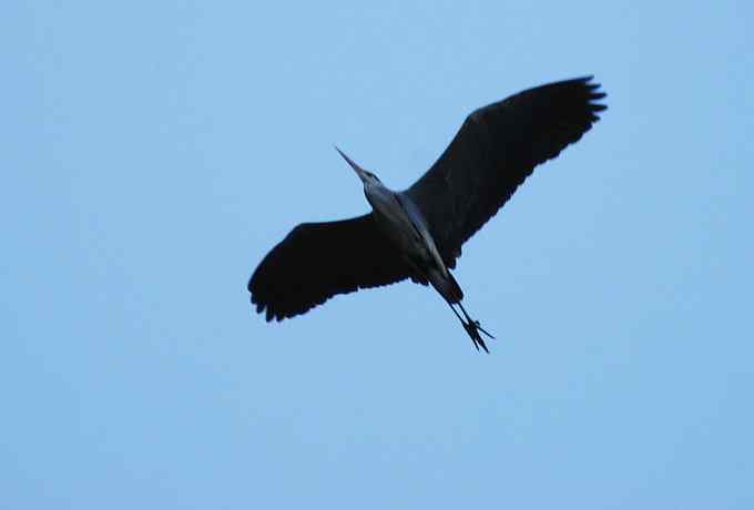 白河峡谷三月雪 白河峡谷三月雪