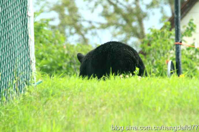 鈥湸蜮澞窆橥居龊谛