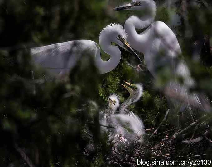 父母是天（组图，6张图片）