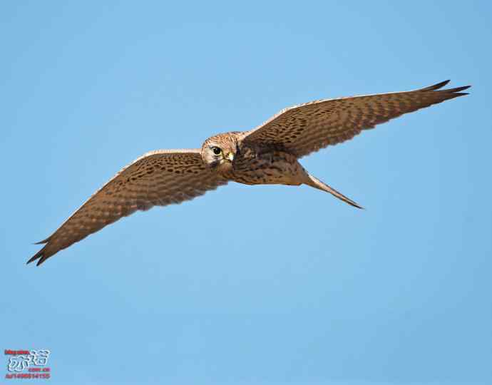 官厅水库&nbsp;wbr路&nbsp;wbr金秋十一猛