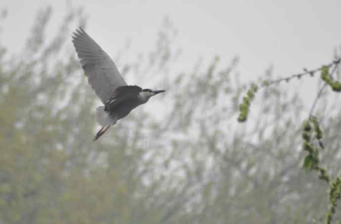 20100505当日总结 20100505当日总结