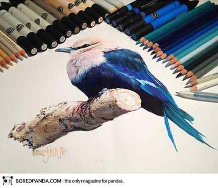 水溶彩铅动物绘画