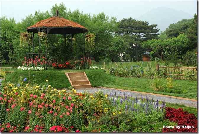 植物园de风光篇