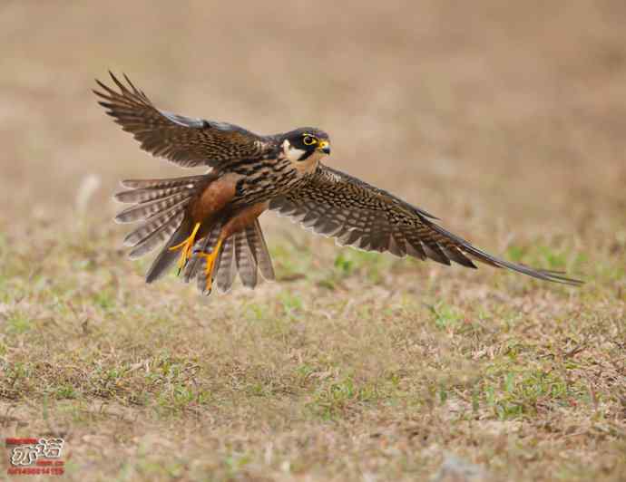 官厅水库&nbsp;wbr路&nbsp;wbr金秋十一猛