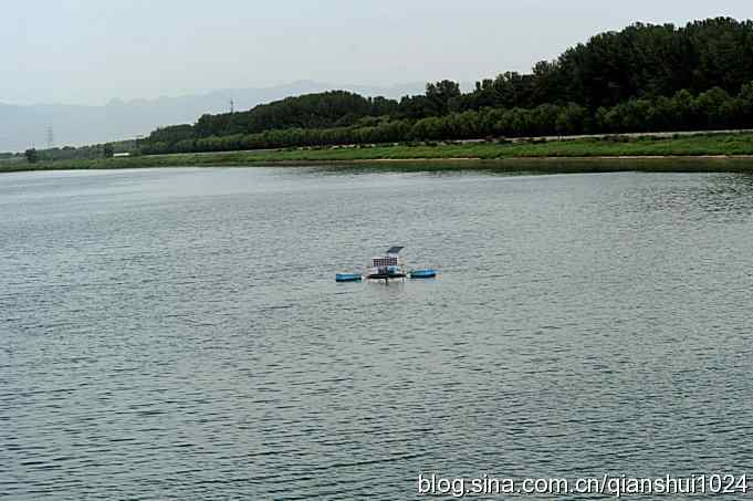 沙河水库.今天只拍到白鹭