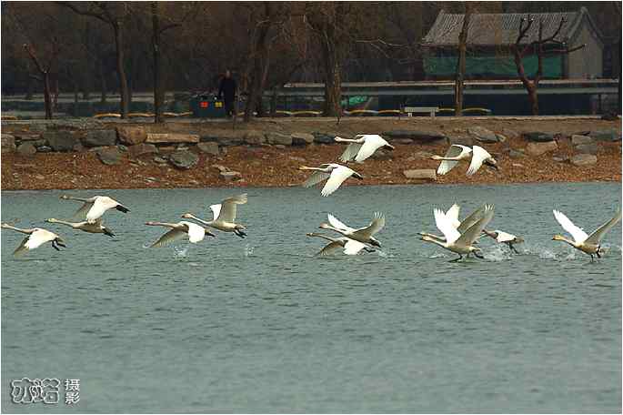  点击图片或使用键盘← →翻页