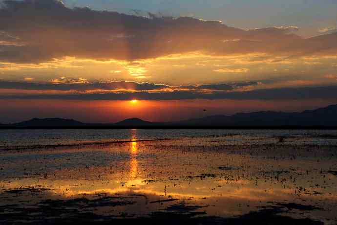 美丽的野鸭湖 美丽的野鸭湖