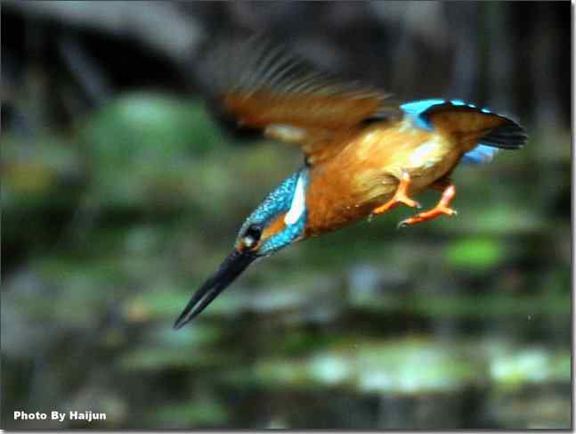  点击图片或使用键盘← →翻页