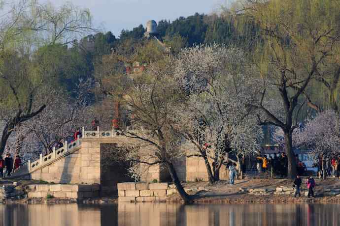 清明假日惬意的午后时光