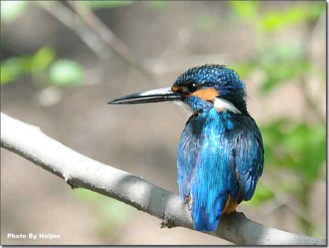  点击图片或使用键盘← →翻页