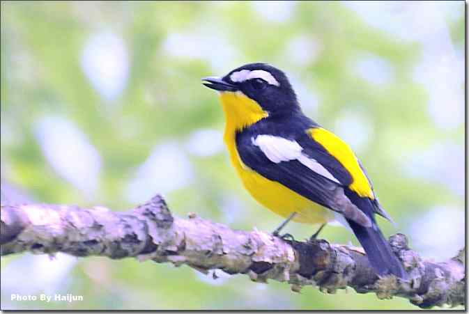  点击图片或使用键盘← →翻页