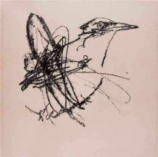 画家叶永青画的鸟，视觉冲击！