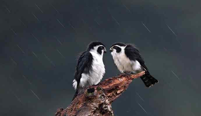 初冬婺源一日印象