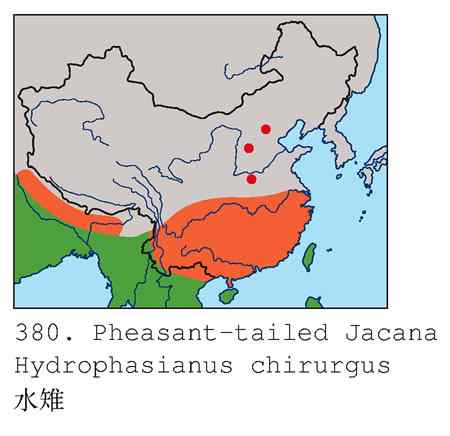 凌波仙子鈥斺斘业拿沃星槿耍ㄗ橥迹22张图片）