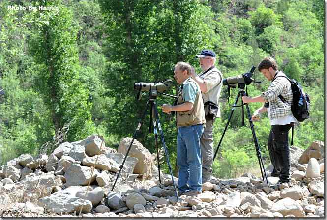  点击图片或使用键盘← →翻页