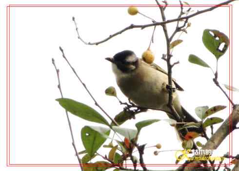 鈥溎袢蒜澋木适澜纭菊掌