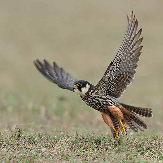 狂野周末鈥斺斆颓萜ㄅ级舭妫