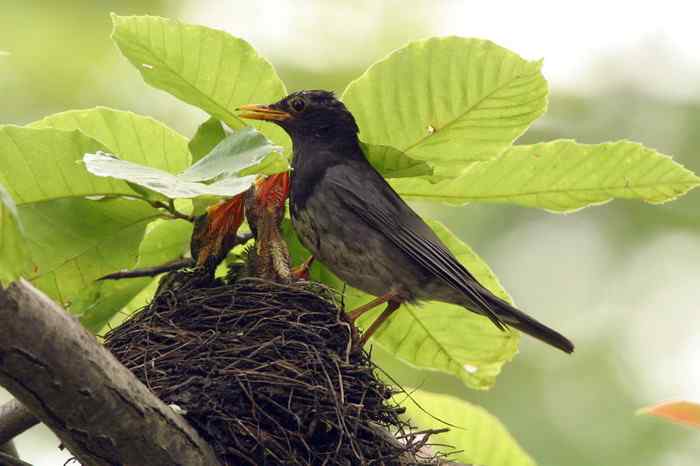 杭州老郑摄影续 杭州老郑摄影续