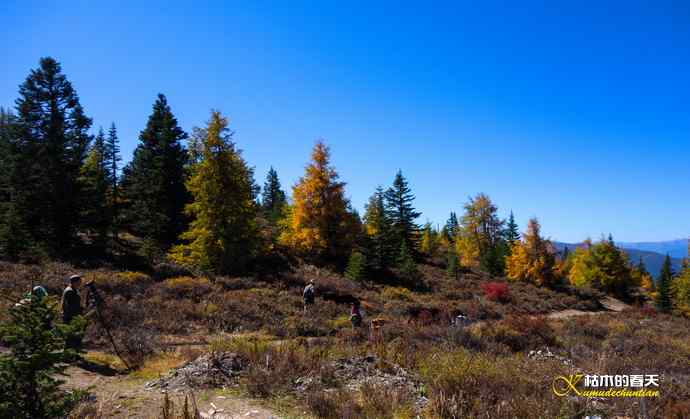 帕姆岭拍鈥溠翕