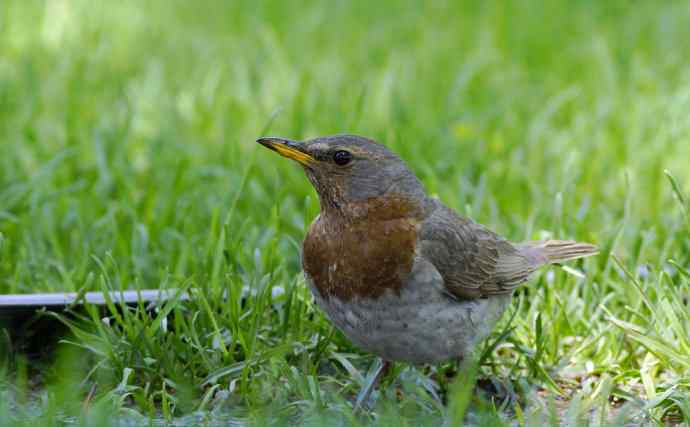 向博友老K致敬 向博友老K致敬