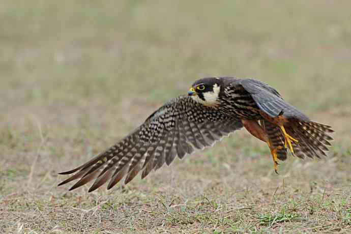 狂野周末鈥斺斆颓萜ㄅ级舭妫