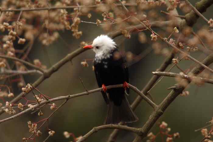 杭州老郑摄影续 杭州老郑摄影续