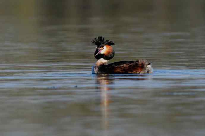 清明假日惬意的午后时光