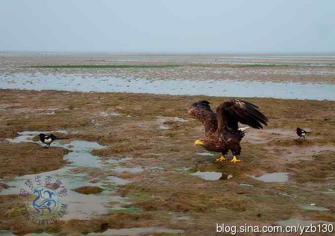 难忘断背山（组图，一个视频，20张图片）