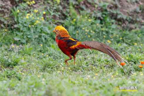 发一组鈥満旄菇跫︹ 发一组鈥満旄菇跫︹