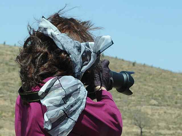 野鸭湖拍摄纪实(牛背鹭黄鹡鸰长脚鹬)