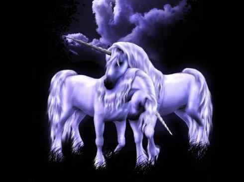 独角兽：传说的兽