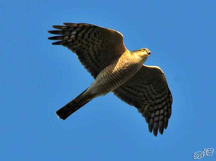 北京西山&nbsp;wbr路2010-10-12望京楼