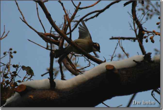 点击图片或使用键盘← →翻页