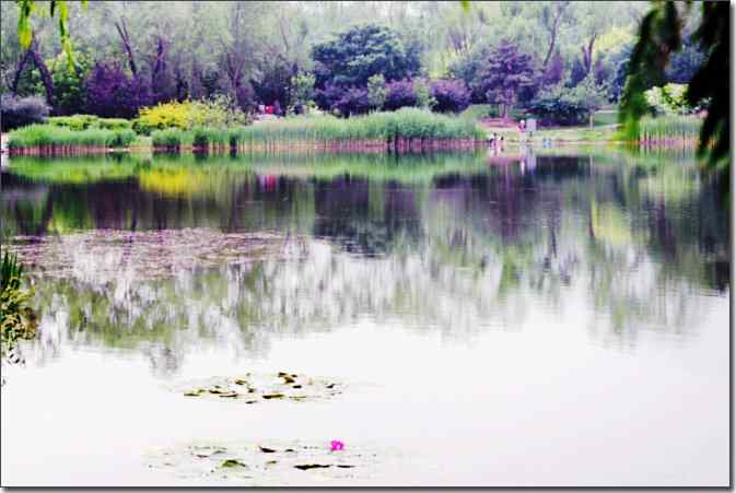 植物园de风光篇