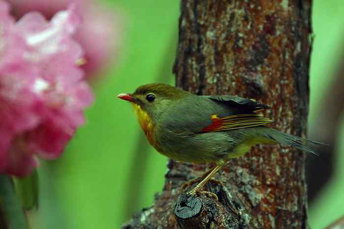 杭州老郑摄影续 杭州老郑摄影续
