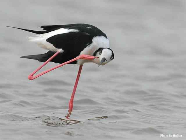 我憧憬那湾碧水 wbr. wbr我流连那片土地