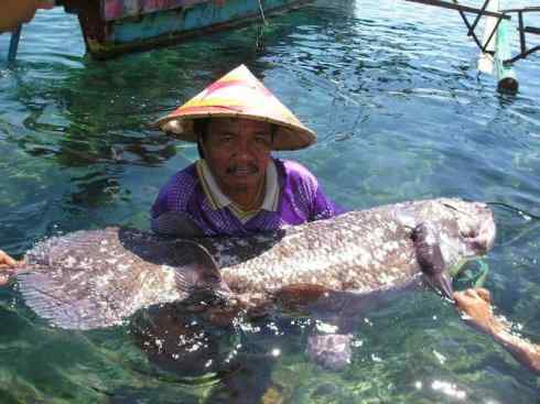 鱼类活化石：矛尾鱼