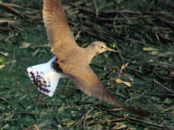 孤独的美丽（组图，17张图片）