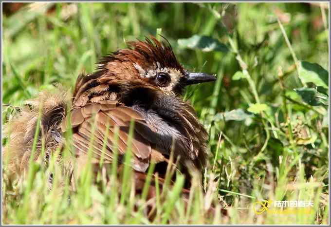 阳光明媚好心情【照片】 阳光明媚好心情【照片】
