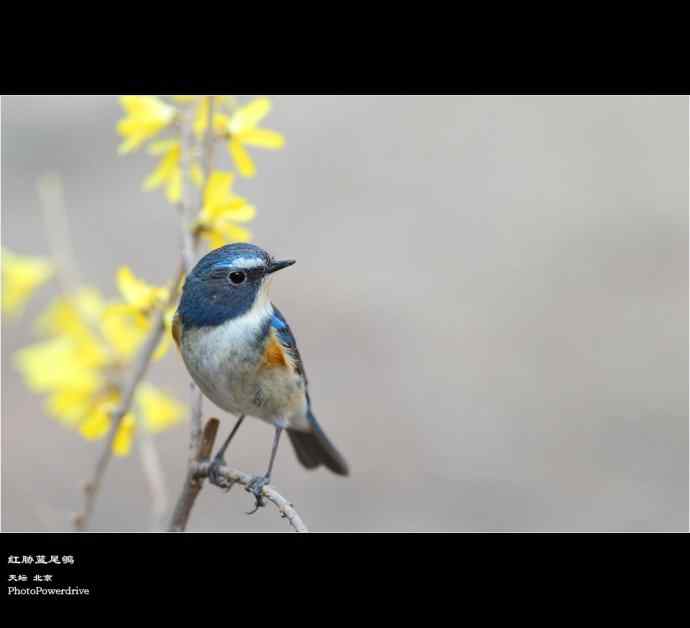 【人间四月天】