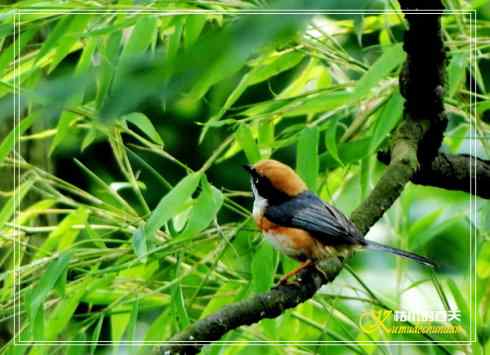 鈥溎袢蒜澋木适澜纭菊掌