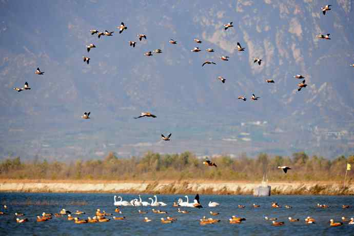 美丽的野鸭湖 美丽的野鸭湖