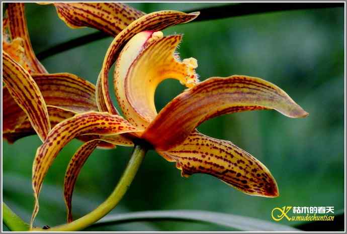 今天不拍鸟【照片】