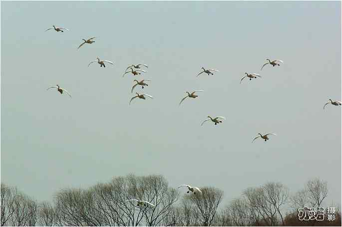  点击图片或使用键盘← →翻页