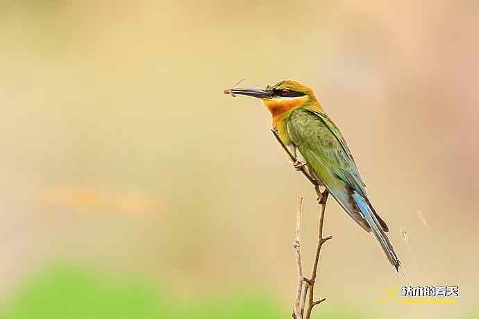 失而复得的鈥溊鹾矸浠⑩ 失而复得的鈥溊鹾矸浠⑩