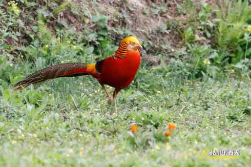 发一组鈥満旄菇跫︹ 发一组鈥満旄菇跫︹
