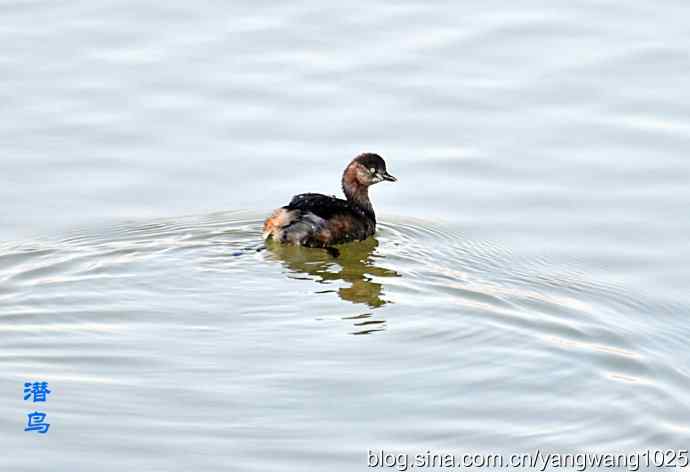 颐和园的收获（小PT）